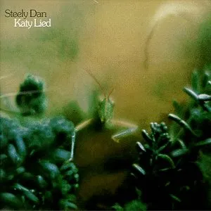 Katy lied